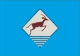 Springbok Line